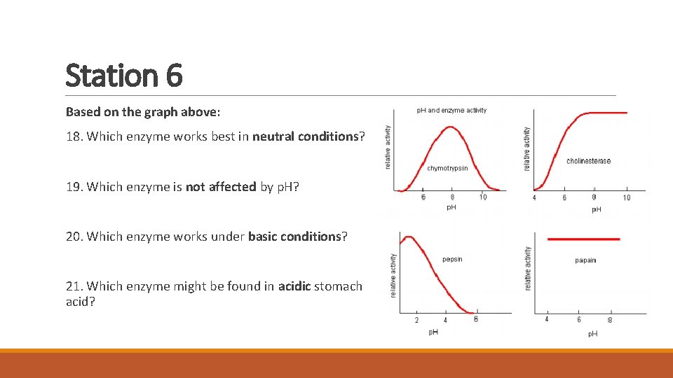 Station 6 Based on the graph above: 18. Which enzyme works best in neutral