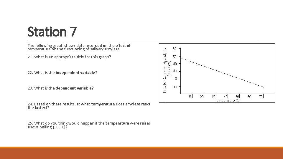 Station 7 The following graph shows data recorded on the effect of temperature on