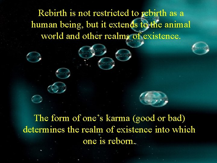 Rebirth is not restricted to rebirth as a human being, but it extends to