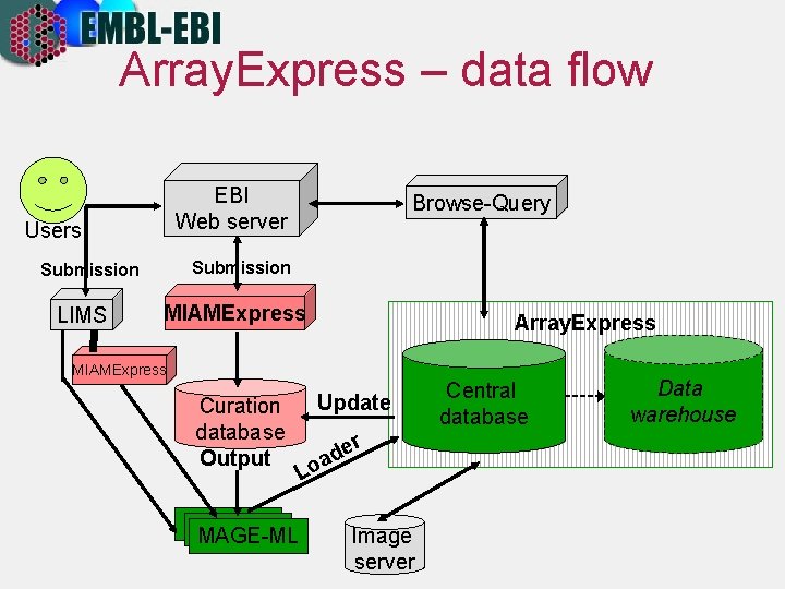 Array. Express – data flow EBI Web server Users Submission LIMS Browse-Query MIAMExpress Array.