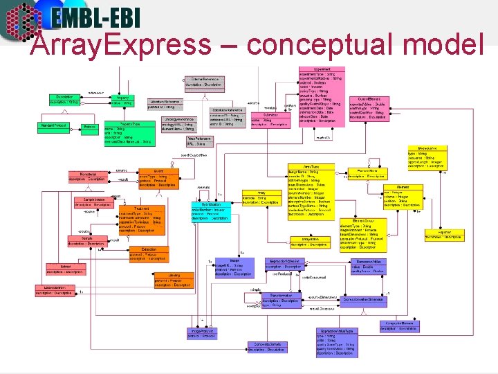 Array. Express – conceptual model Experiment Hybridisation Array Sample Normalisation Final data MIAME 6