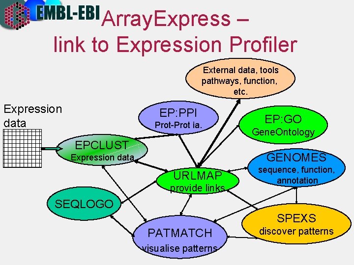 Array. Express – link to Expression Profiler External data, tools pathways, function, etc. Expression