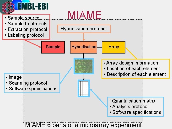  • Sample source • Sample treatments • Extraction protocol • Labeling protocol Sample