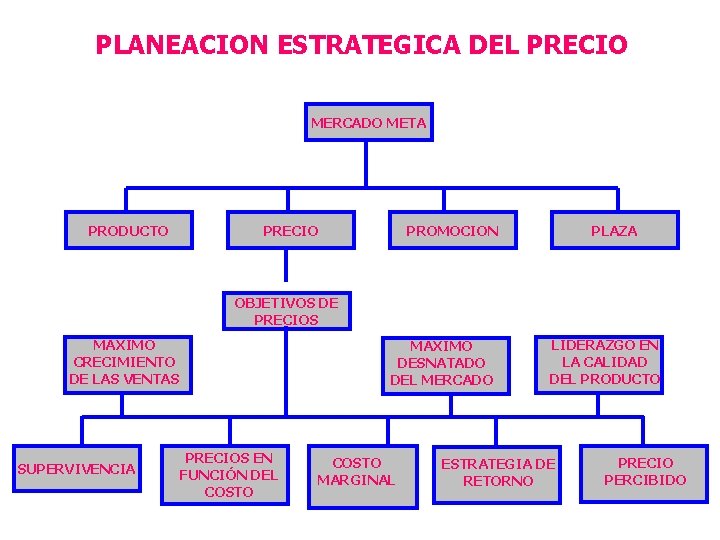 PLANEACION ESTRATEGICA DEL PRECIO MERCADO META PRODUCTO PRECIO PROMOCION PLAZA OBJETIVOS DE PRECIOS MAXIMO