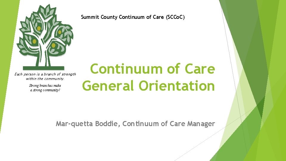 Summit County Continuum of Care (SCCo. C) Each person is a branch of strength