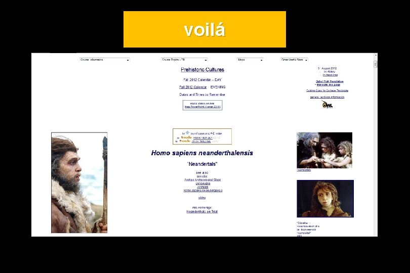 voilá 