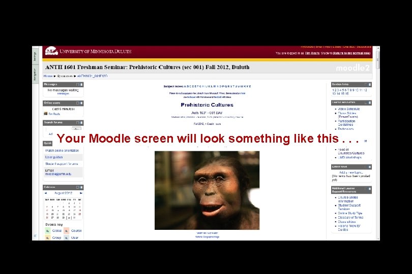 Your Moodle screen will look something like this. . . 