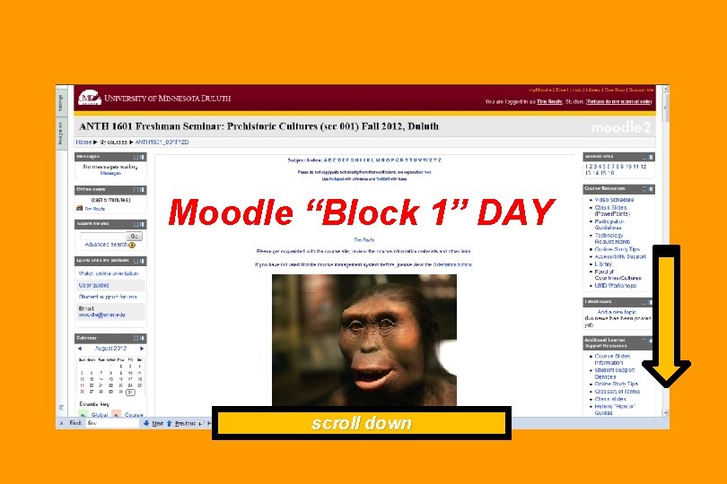 Moodle “Block 1” DAY scroll down 