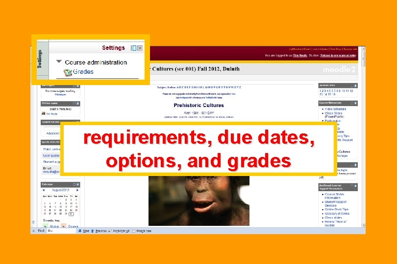 requirements, due dates, options, and grades 