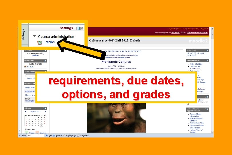 requirements, due dates, options, and grades 