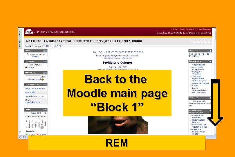 Back to the Moodle main page “Block 1” REM 