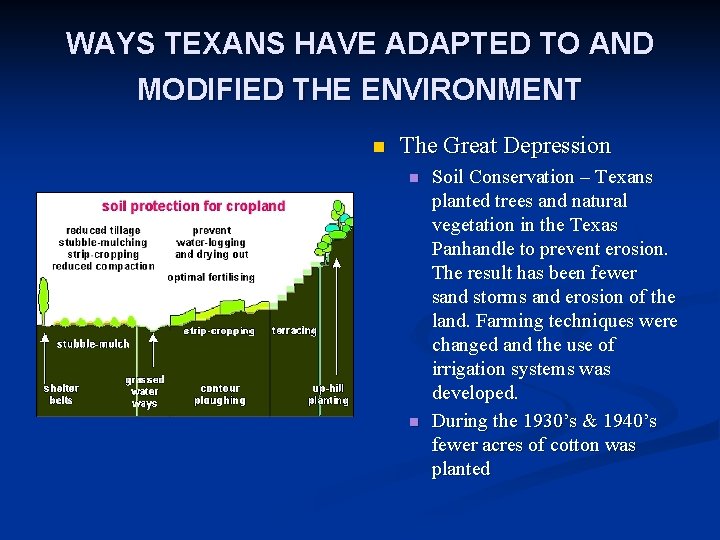 WAYS TEXANS HAVE ADAPTED TO AND MODIFIED THE ENVIRONMENT n The Great Depression n