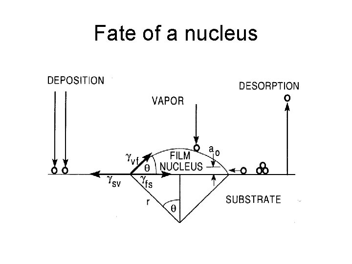 Fate of a nucleus 