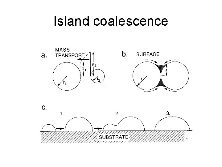 Island coalescence 