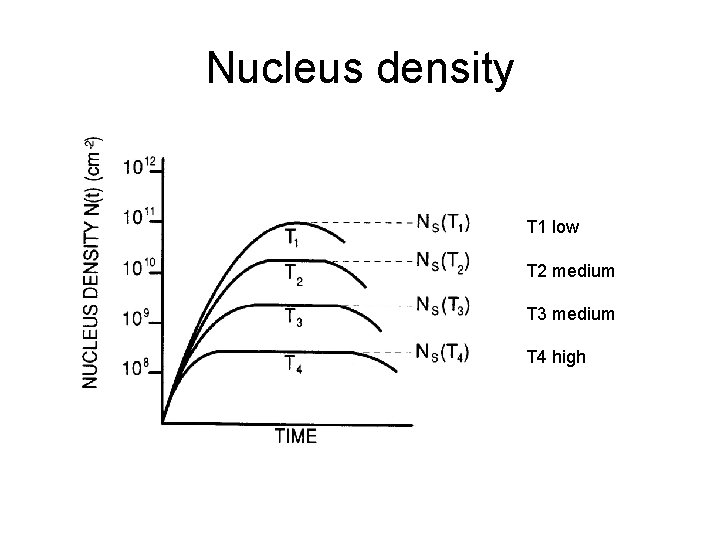 Nucleus density T 1 low T 2 medium T 3 medium T 4 high