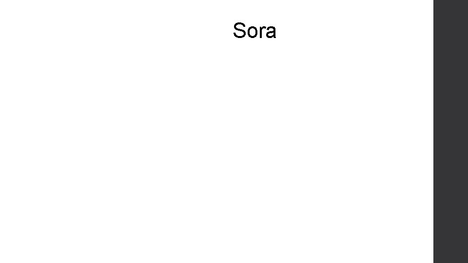 Sora 