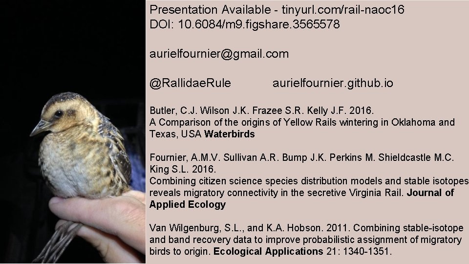 Presentation Available - tinyurl. com/rail-naoc 16 DOI: 10. 6084/m 9. figshare. 3565578 Questions? aurielfournier@gmail.