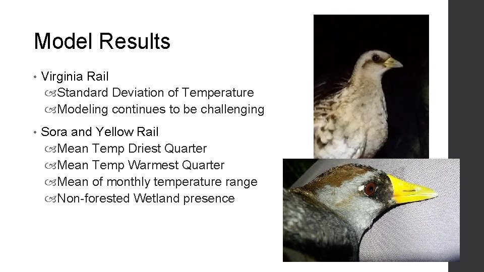 Model Results • Virginia Rail Standard Deviation of Temperature Modeling continues to be challenging