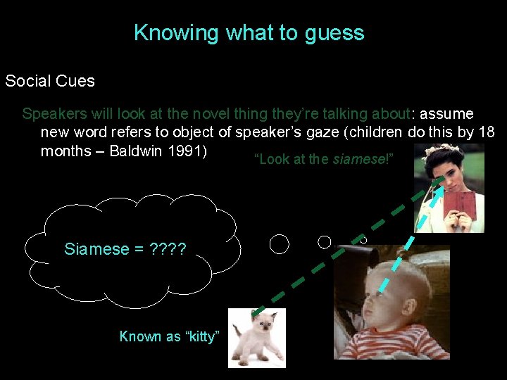 Knowing what to guess Social Cues Speakers will look at the novel thing they’re Knowing what to guess Social Cues Speakers will look at the novel thing they’re