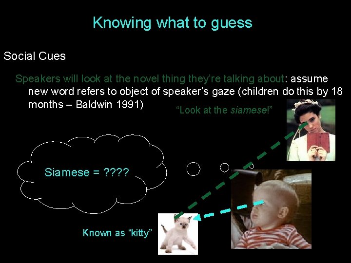 Knowing what to guess Social Cues Speakers will look at the novel thing they’re Knowing what to guess Social Cues Speakers will look at the novel thing they’re