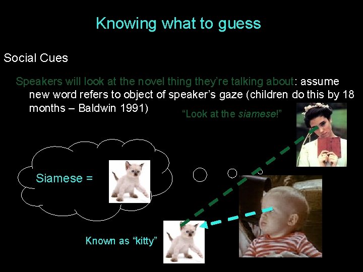 Knowing what to guess Social Cues Speakers will look at the novel thing they’re Knowing what to guess Social Cues Speakers will look at the novel thing they’re