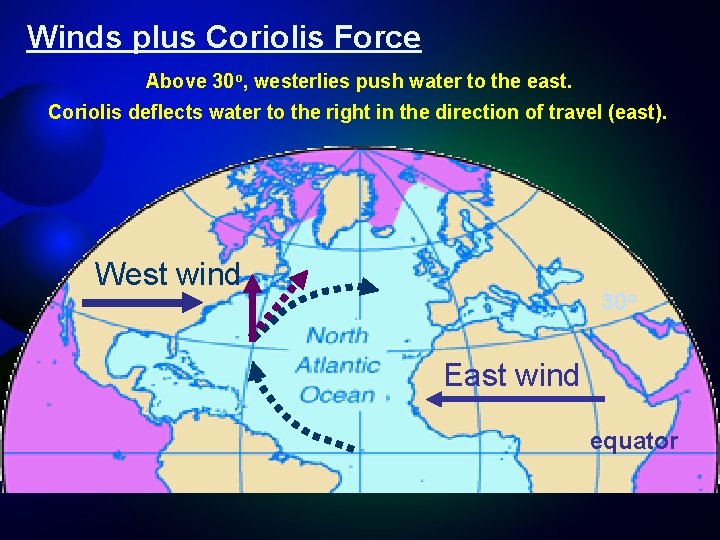 Winds plus Coriolis Force Above 30 o, westerlies push water to the east. Coriolis