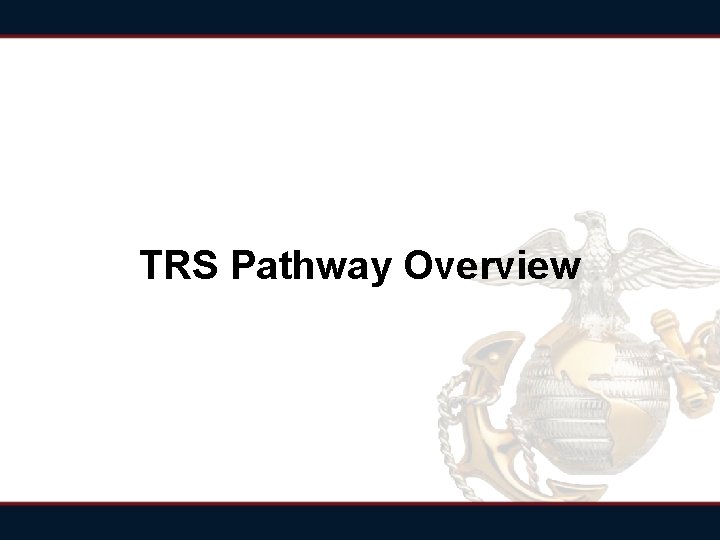 TRS Pathway Overview 