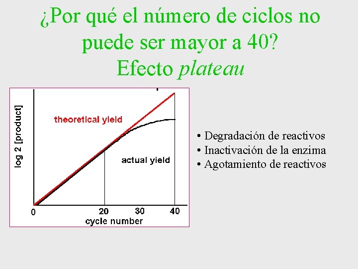 ¿Por qué el número de ciclos no puede ser mayor a 40? Efecto plateau ¿Por qué el número de ciclos no puede ser mayor a 40? Efecto plateau