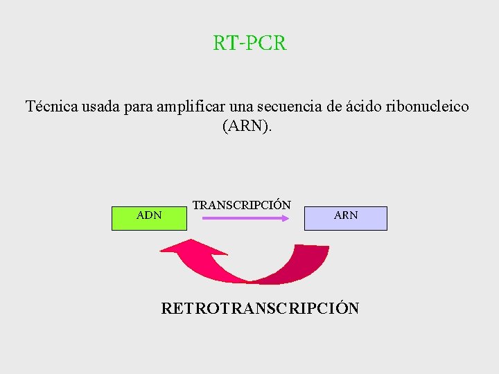 RT-PCR Técnica usada para amplificar una secuencia de ácido ribonucleico (ARN). ADN TRANSCRIPCIÓN ARN RT-PCR Técnica usada para amplificar una secuencia de ácido ribonucleico (ARN). ADN TRANSCRIPCIÓN ARN