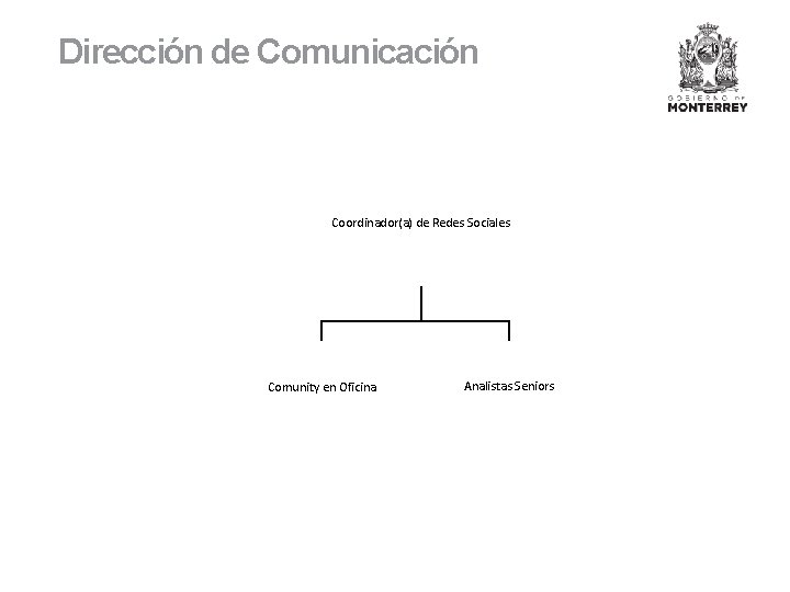 Dirección de Comunicación Coordinador(a) de Redes Sociales Comunity en Oficina Analistas Seniors 