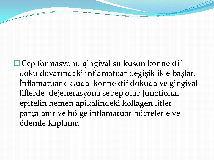 � Cep formasyonu gingival sulkusun konnektif doku duvarındaki inflamatuar değişiklikle başlar. İnflamatuar eksuda konnektif