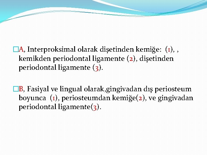 �A, Interproksimal olarak dişetinden kemiğe: (1), , kemikden periodontal ligamente (2), dişetinden periodontal ligamente