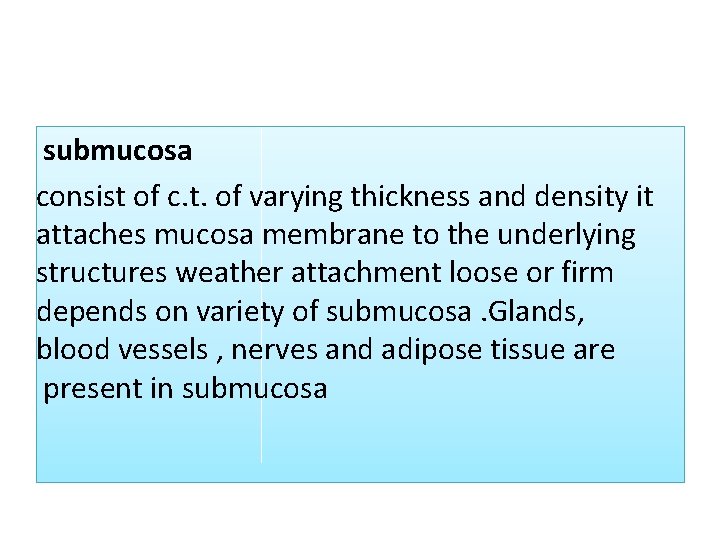 submucosa consist of c. t. of varying thickness and density it attaches mucosa membrane submucosa consist of c. t. of varying thickness and density it attaches mucosa membrane