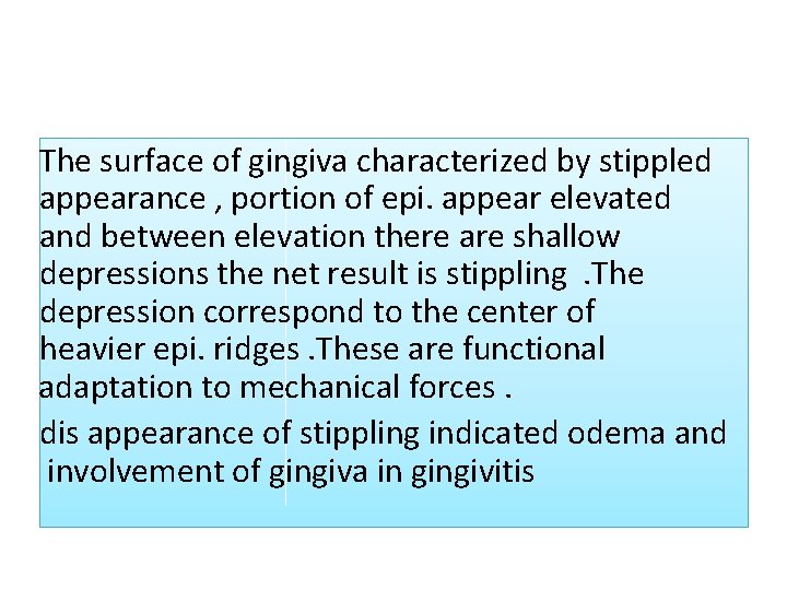 The surface of gingiva characterized by stippled appearance , portion of epi. appear elevated The surface of gingiva characterized by stippled appearance , portion of epi. appear elevated