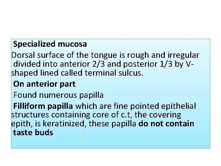 Specialized mucosa Dorsal surface of the tongue is rough and irregular divided into anterior Specialized mucosa Dorsal surface of the tongue is rough and irregular divided into anterior