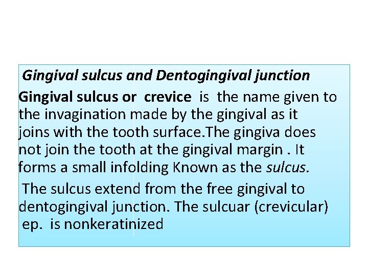 Gingival sulcus and Dentogingival junction Gingival sulcus or crevice is the name given to Gingival sulcus and Dentogingival junction Gingival sulcus or crevice is the name given to