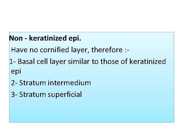 Non keratinized epi. Have no cornified layer, therefore : 1 - Basal cell layer Non keratinized epi. Have no cornified layer, therefore : 1 - Basal cell layer