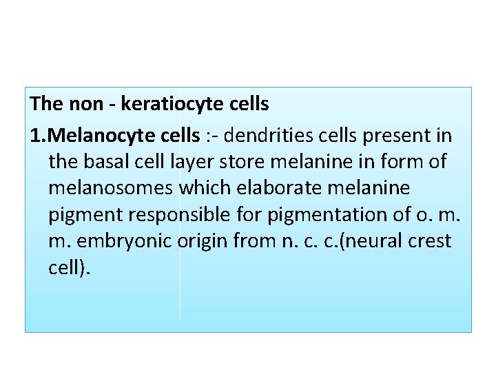 The non keratiocyte cells 1. Melanocyte cells : - dendrities cells present in the The non keratiocyte cells 1. Melanocyte cells : - dendrities cells present in the