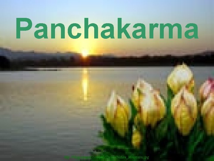 Panchakarma www. dsvv. ac. in http: //blogs. targetx. com/pbu/Trevor/Nature_Mountains. jpg 