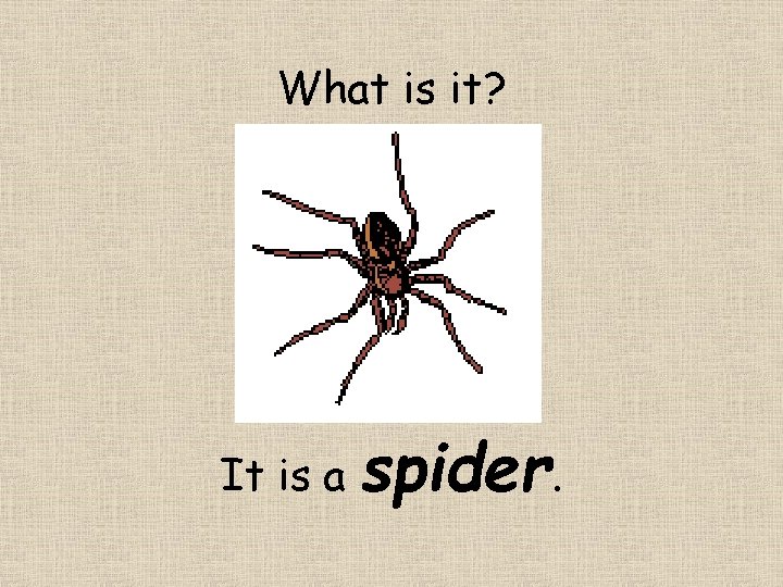 What is it? It is a spider. 