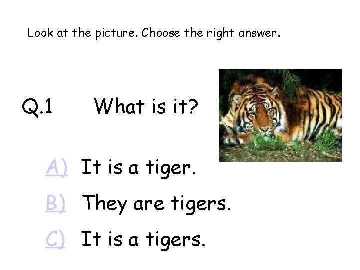 Look at the picture. Choose the right answer. Q. 1 What is it? A)