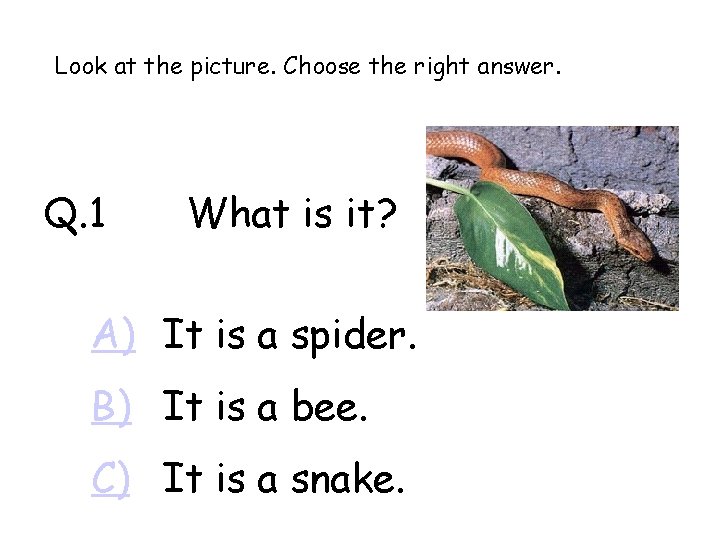Look at the picture. Choose the right answer. Q. 1 What is it? A)