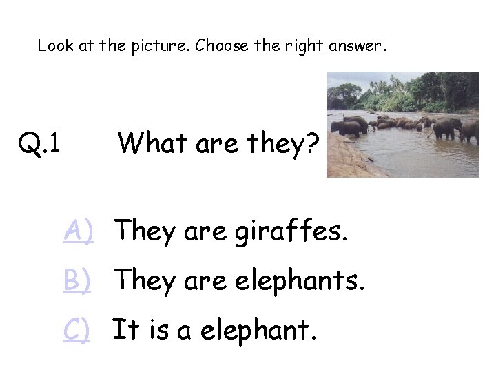 Look at the picture. Choose the right answer. Q. 1 What are they? A)