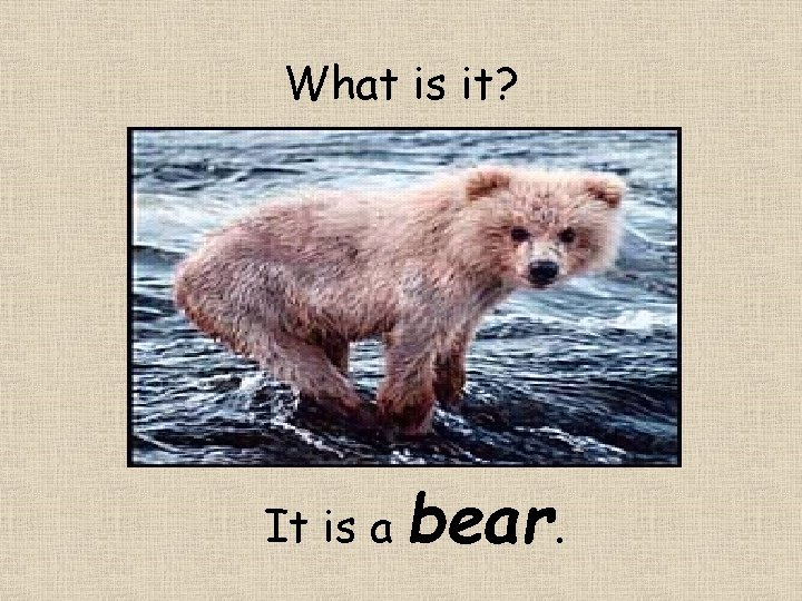 What is it? It is a bear. 