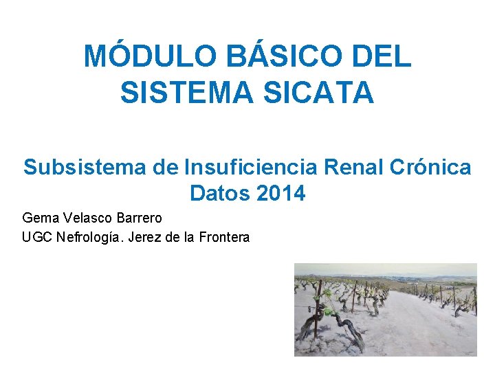 MÓDULO BÁSICO DEL SISTEMA SICATA Subsistema de Insuficiencia Renal Crónica Datos 2014 Gema Velasco