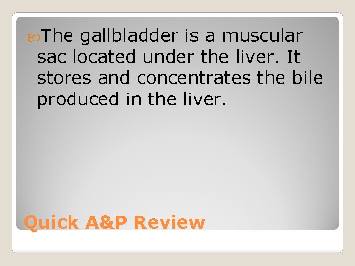  The gallbladder is a muscular sac located under the liver. It stores and