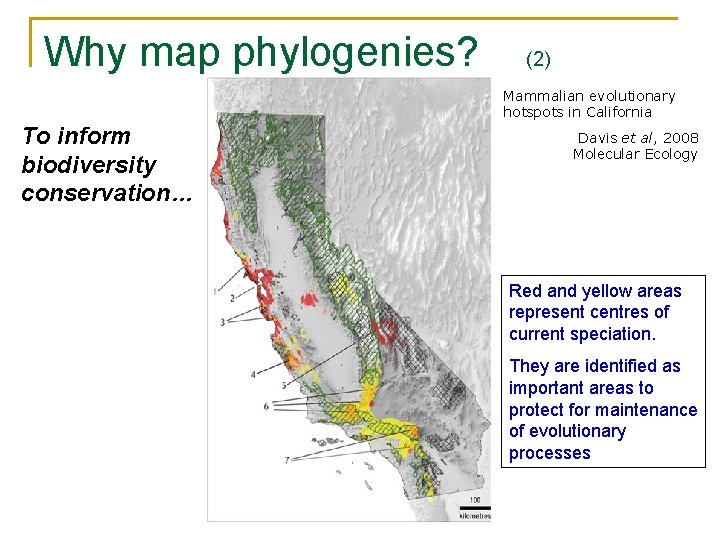 Trees taxonomy location mapping phylogeography using Biodiverse Dan