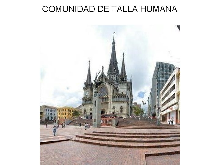 COMUNIDAD DE TALLA HUMANA 