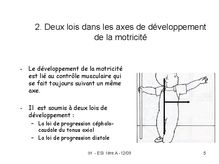 2. Deux lois dans les axes de développement de la motricité • • Le 2. Deux lois dans les axes de développement de la motricité • • Le