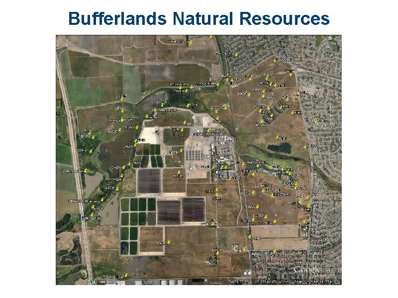 Bufferlands Natural Resources 